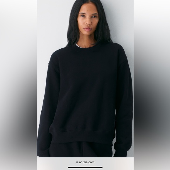 Aritzia Sweaters - TNA crewneck